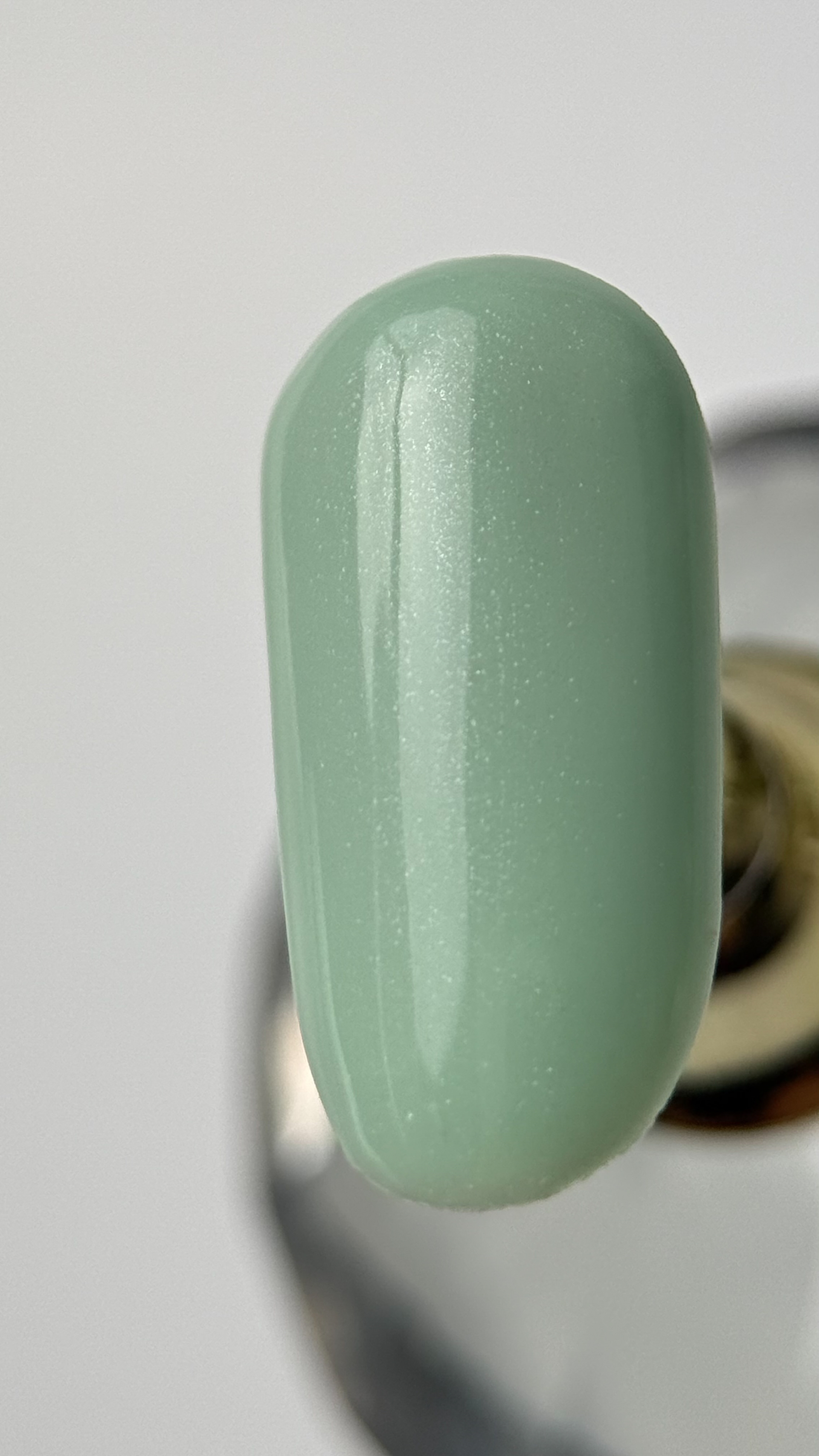 Gel Polish ‘Light pistachio [ svitlo-fistashkovyy ] , 8 мл